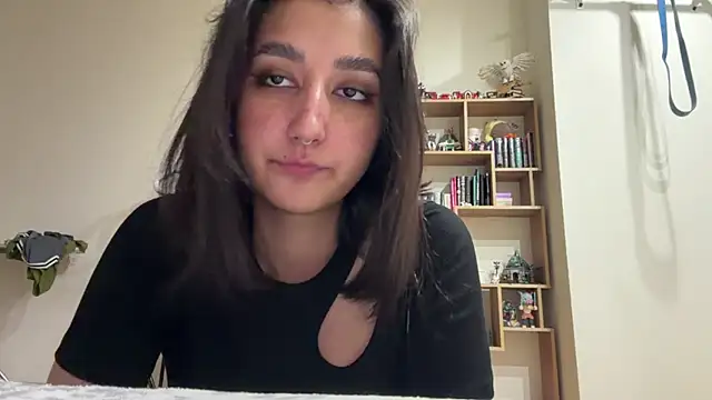 Chatroom en direct de PaintedDisplay