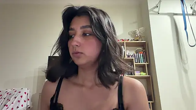 Chat ao vivo de PaintedDisplay