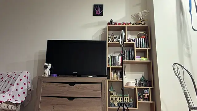 Phòng Chat Trực Tiếp PaintedDisplay
