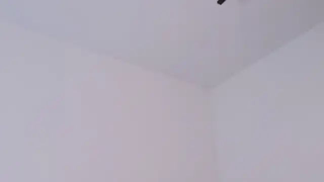 eva_swetty Cameră chat live