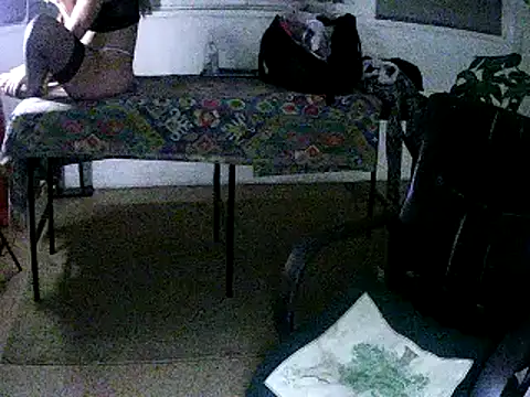 Felinamza Live Chatraum