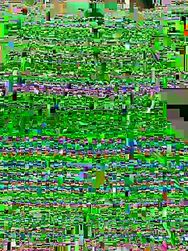 חדר צ'אט בשידור חי של lulupiecitosamor