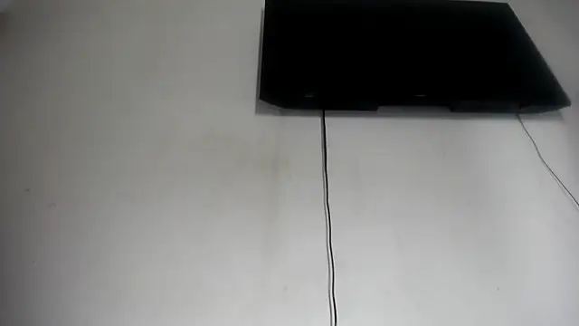Fox_Loves' Live Chat Room