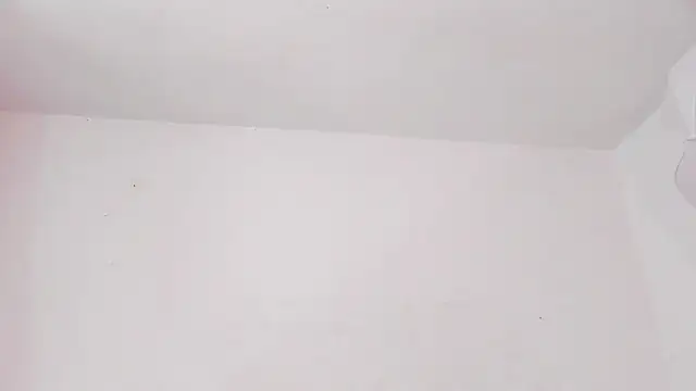 karely_laurent 실시간 채팅방