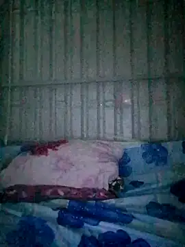 Alisa2626 Cameră chat live