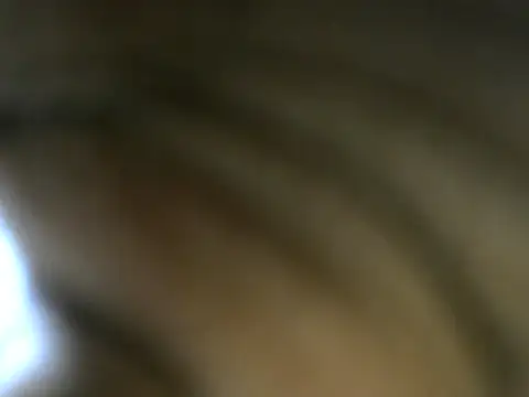 חדר צ'אט בשידור חי של Ass_matic_ebony