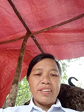 Chat ao vivo de Elfledaa