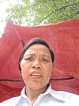 Chat ao vivo de Elfledaa