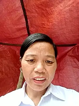 Chat ao vivo de Elfledaa
