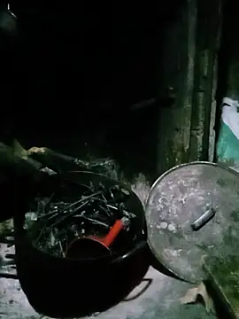 Živá chatovací místnost Elfledaa