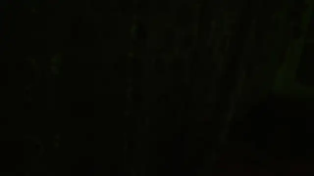 חדר צ'אט בשידור חי של MartinaXBob