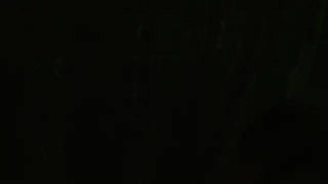MartinaXBob Live Chatraum