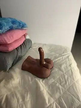 Živá chatovací místnost Misblond