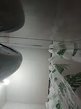 Ann_Houston_ Live Chatraum