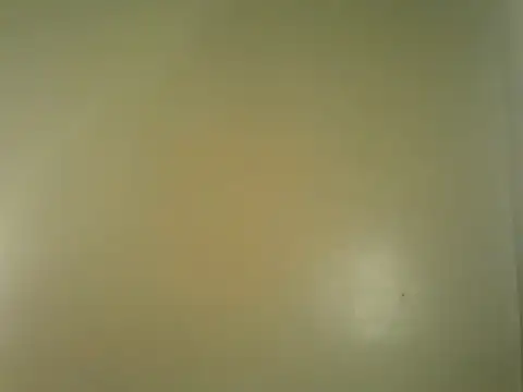 roziebeauty Live Chatraum