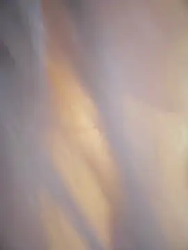 חדר צ'אט בשידור חי של VictoriaSecretXXX
