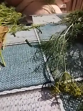 Chat ao vivo de bufnita5