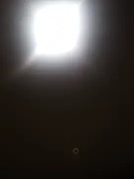 zeebighips Live Chatraum