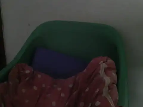 Chat soba uživo modela Daddies_toy_1