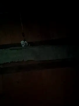 Hanna_Falcone 现场聊天室