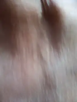 غرفة دردشة aba_sexy المباشرة