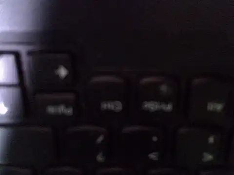 cocolaurah Live Chatrum