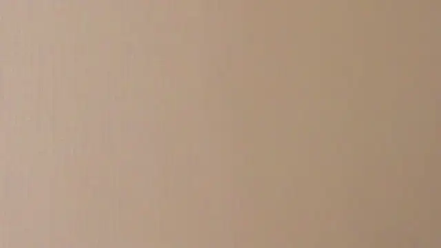 EvaJustForYou 실시간 채팅방