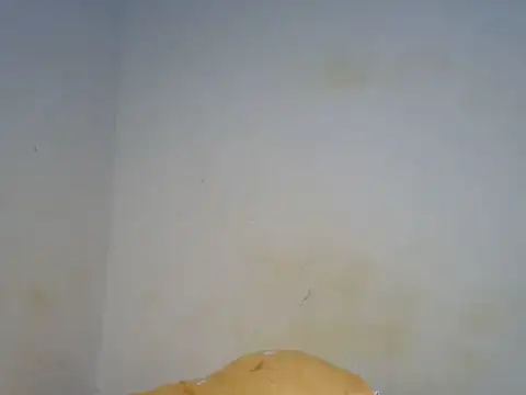 Chat ao vivo de Emmerline_