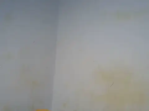 Chat ao vivo de Emmerline_