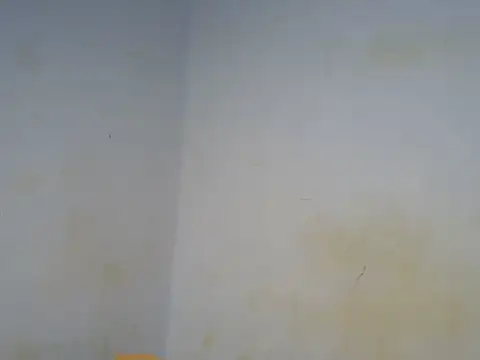 Emmerline_ Live Chatraum