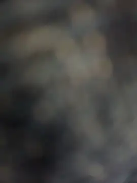 Živá chatovací místnost honghong_mother