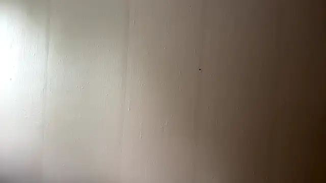 T1ffanyL Adlı Modelin Canlı Sohbet Odası