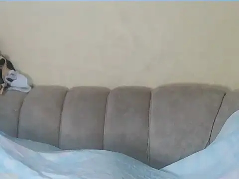 sexxybutties – live chatrum
