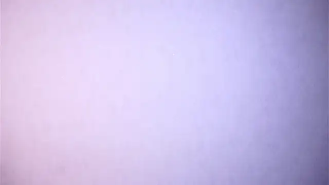 TamEschmann Cameră chat live