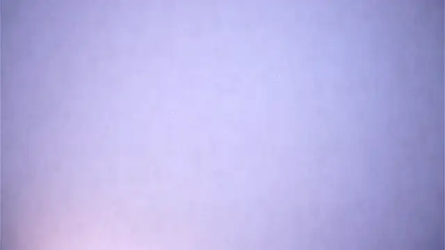 TamEschmann Live Chatraum