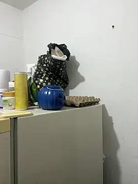 arilynn_ Cameră chat live