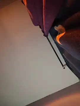 Tokiio_petiit Live Chatrum