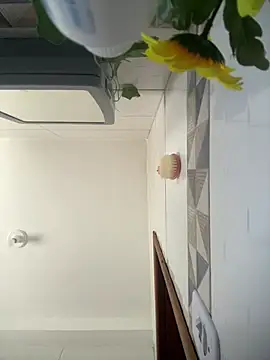 Sala de chat ao vivo de maiasouza
