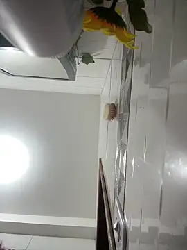 maiasouza Adlı Modelin Canlı Sohbet Odası