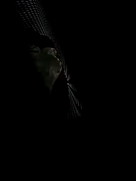 florzinhaxx 실시간 채팅방