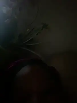 honeycum444 실시간 채팅방
