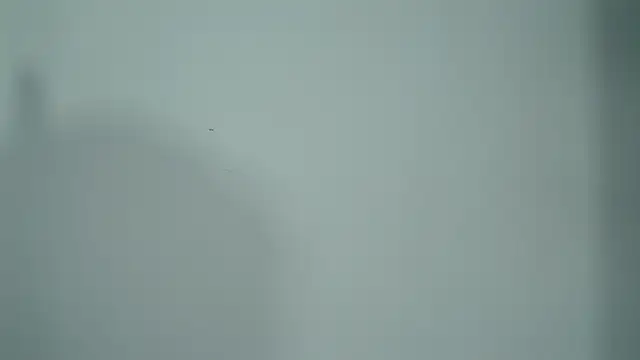 ElenaStone_ élő chatszobája