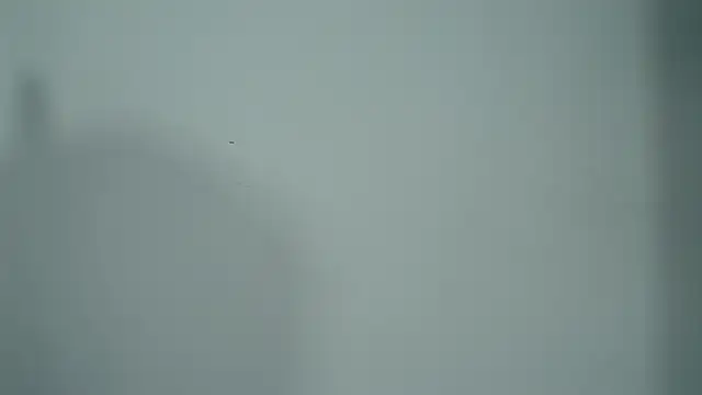 Sala de chat en directo de ElenaStone_