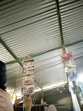 Bilik Sembang Langsung maduranalg