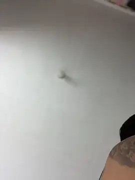 Thaix_ Live Chatrum