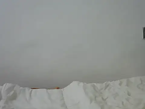 Sexyappy – live chatrum