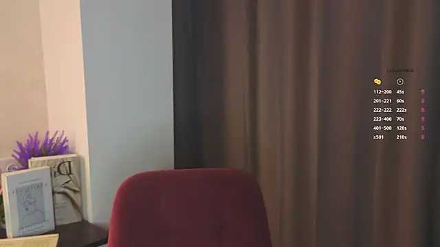 Chat soba uživo modela WoofBus