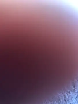 Foren_mm Live Chatraum