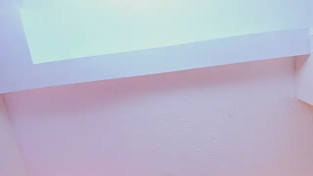 DreamHoney_SJ Live Chatraum