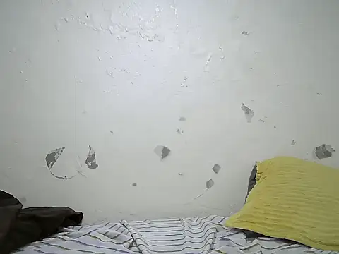 cockdory Live Chatraum